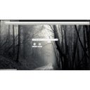 Paradox Dark  screen for extension Chrome web store in OffiDocs Chromium