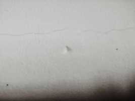 Free download Paredes vivas. free photo or picture to be edited with GIMP online image editor