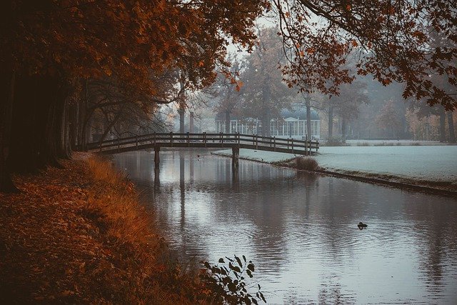 Free download park nature landscape autumn water free picture to be edited with GIMP free online image editor