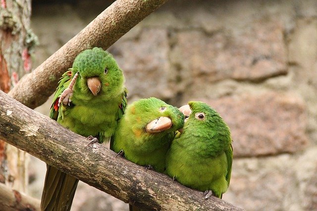 Free download parque estoril sao bernardo do campo free picture to be edited with GIMP free online image editor