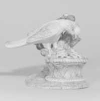 Free download Parrot with spread wings free photo or picture to be edited with GIMP online image editor