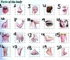 Free download Parts Of Body free photo or picture to be edited with GIMP online image editor
