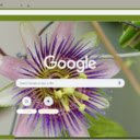 Passion Flower  screen for extension Chrome web store in OffiDocs Chromium
