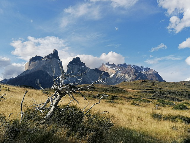 Faça o download gratuito da imagem gratuita do chile da patagonia para ser editada com o editor de imagens on-line gratuito do GIMP
