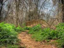 Free download Path By Bridge Springfield MO free photo or picture to be edited with GIMP online image editor
