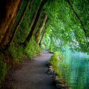 Path By The Lake  screen for extension Chrome web store in OffiDocs Chromium