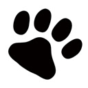 XPawPad  screen for extension Chrome web store in OffiDocs Chromium