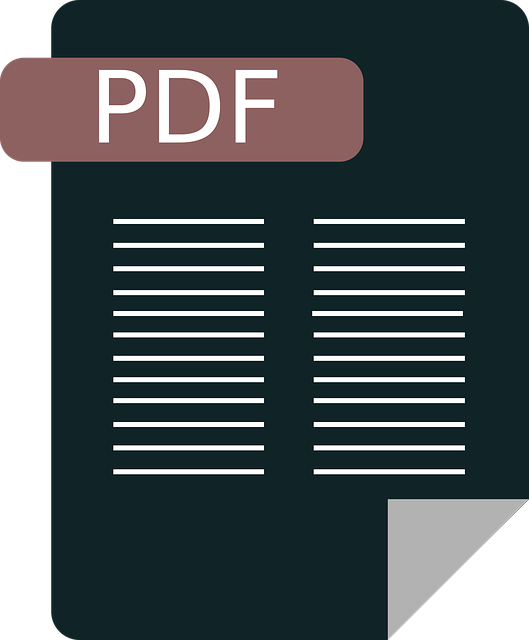 Free download Pdf Icon Document - Free vector graphic on Pixabay free illustration to be edited with GIMP free online image editor