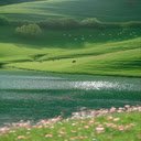 Peaceful nature wallpaper  screen for extension Chrome web store in OffiDocs Chromium