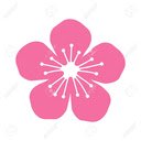 Peach blossom  screen for extension Chrome web store in OffiDocs Chromium