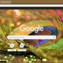 Peacock Feather Abstract  screen for extension Chrome web store in OffiDocs Chromium
