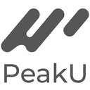 PeakU Leads match only the best  screen for extension Chrome web store in OffiDocs Chromium