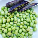 Pea pods and seeds  screen for extension Chrome web store in OffiDocs Chromium