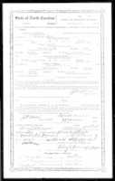 Free picture Pearlie Lee Freeman Marriage Certificate Nov 3, 1933 Bladen County, NC to be edited by GIMP online free image editor by OffiDocs