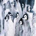 Ekran Penguin Huddle do rozszerzenia sklepu internetowego Chrome w OffiDocs Chromium