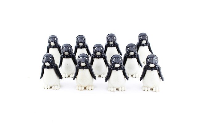 Free download penguin twelve front free picture to be edited with GIMP free online image editor
