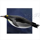 صفحه نمایش زیر آب پنگوئن برای افزونه فروشگاه وب Chrome در OffiDocs Chromium