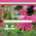 Penstemon  screen for extension Chrome web store in OffiDocs Chromium
