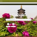 Peony Festival in Luoyang  screen for extension Chrome web store in OffiDocs Chromium