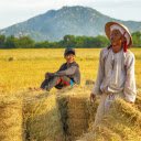 People have a good rice harvest  screen for extension Chrome web store in OffiDocs Chromium
