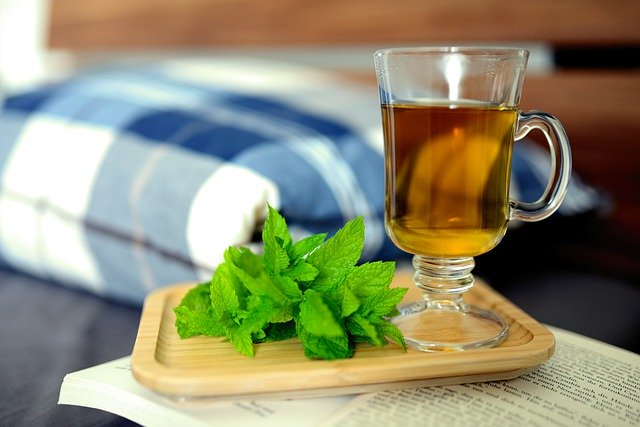 Free download peppermint tea peppermint mint tea free picture to be edited with GIMP free online image editor