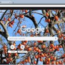 Persimmon Tree  screen for extension Chrome web store in OffiDocs Chromium