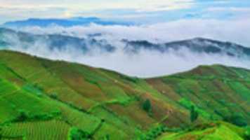 Free download Petani free photo or picture to be edited with GIMP online image editor