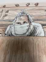 Free download Peter Nygard charge hearing sketch free photo or picture to be edited with GIMP online image editor
