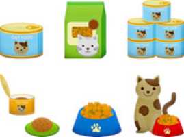 Free download petshop free photo or picture to be edited with GIMP online image editor
