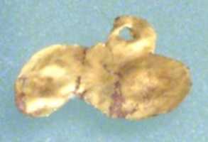 Free download Phallus (?) amulet free photo or picture to be edited with GIMP online image editor