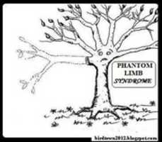 Free download Phantom Limb Syndrome cartoon free photo or picture to be edited with GIMP online image editor