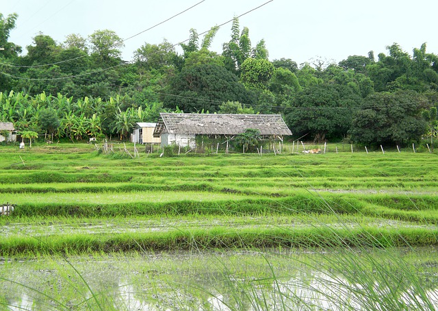 تنزيل صورة مجانية للمزرعة القديمة من الفلبين la union ليتم تحريرها باستخدام محرر الصور المجاني على الإنترنت GIMP