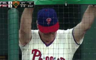 Free download Phillies Face free photo or picture to be edited with GIMP online image editor