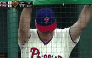 ดาวน์โหลดฟรี Phillies Face รูปถ่ายหรือรูปภาพฟรีที่จะแก้ไขด้วยโปรแกรมแก้ไขรูปภาพออนไลน์ GIMP