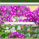 Phlox  screen for extension Chrome web store in OffiDocs Chromium