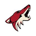 Phoenix Coyotes Browser Theme  screen for extension Chrome web store in OffiDocs Chromium
