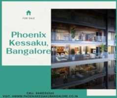 Free download Phoenix Kessaku, Bangalore free photo or picture to be edited with GIMP online image editor