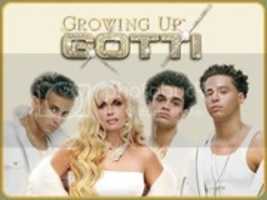 Free download photo_320x240_gotti free photo or picture to be edited with GIMP online image editor