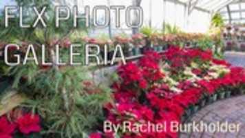 Free download photo-galleria-2018-01-08 free photo or picture to be edited with GIMP online image editor