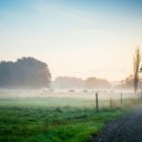 Photography of Green Grass Field  screen for extension Chrome web store in OffiDocs Chromium