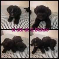 Free download Photo Grid 1562802607698 free photo or picture to be edited with GIMP online image editor