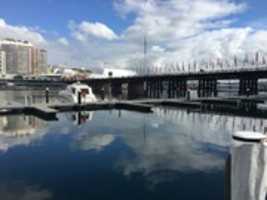 Free download Photo of Darling Harbour, Sydney Australia (2019) free photo or picture to be edited with GIMP online image editor