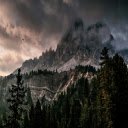 Photo of pine forest in the evening  screen for extension Chrome web store in OffiDocs Chromium
