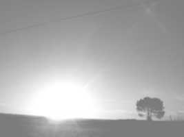 Free picture Photo session 2013 to be edited by GIMP online free image editor by OffiDocs