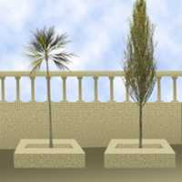 Free download Photoshop tree rendering sample  free photo or picture to be edited with GIMP online image editor
