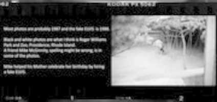 免费下载照片，旧，罗德岛，罗杰威廉姆斯公园和动物园，假猫王，1987-1988。 使用 GIMP 在线图像编辑器编辑的免费照片或图片