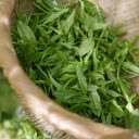 Pick green tea leaves  screen for extension Chrome web store in OffiDocs Chromium