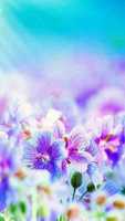 Free download pics11-thumb free photo or picture to be edited with GIMP online image editor