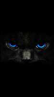 Free download pics18-thumb free photo or picture to be edited with GIMP online image editor