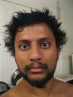 Free download Picture 307 free photo or picture to be edited with GIMP online image editor